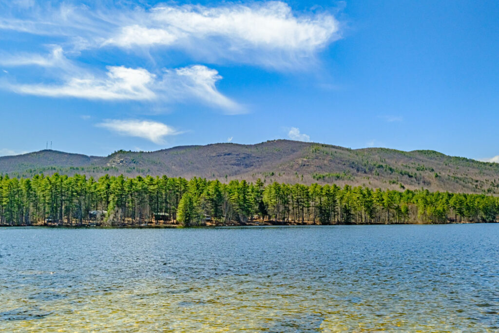 Home The Lakes Real Estate